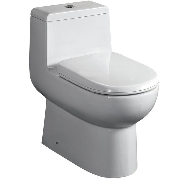 Dual-Flush Elongated One-Piece Black Toilet (Seat Included)